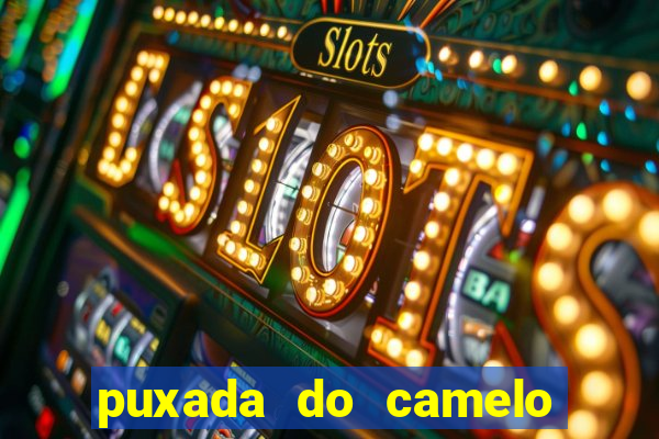 puxada do camelo no jogo do bicho